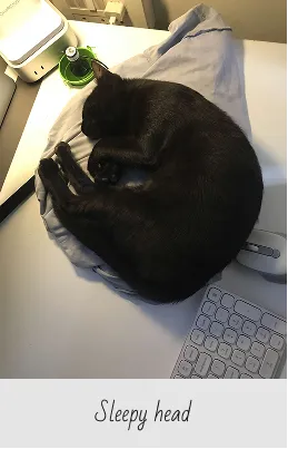 Black cat curled up and sleeping on a gray cushion on a white desk with a keyboard and mouse nearby.
